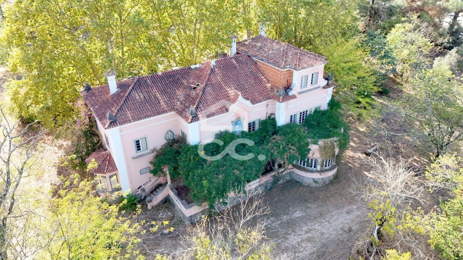 Quinta T20 para Venda em Tramagal