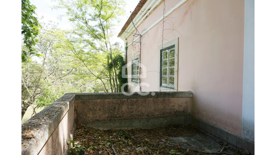 Quinta T20 para Venda em Tramagal Foto 20