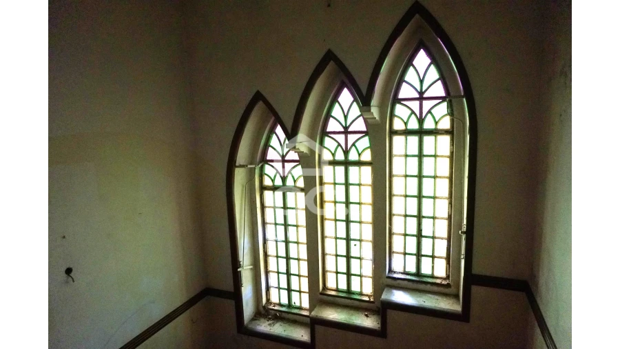 Quinta T20 para Venda em Tramagal Foto 21