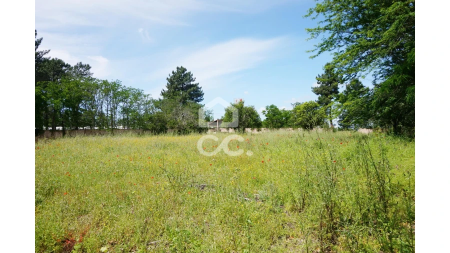 Quinta T20 para Venda em Tramagal Foto 28