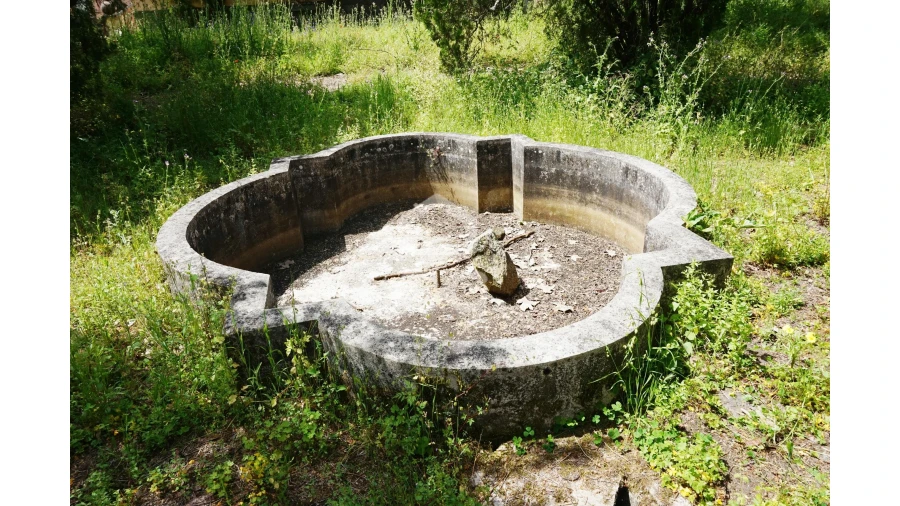 Quinta T20 para Venda em Tramagal Foto 25