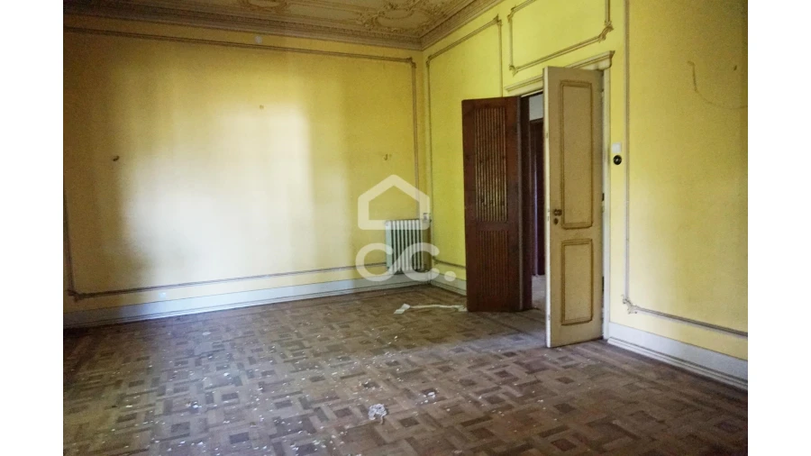 Quinta T20 para Venda em Tramagal Foto 11