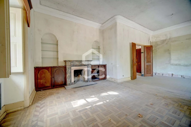 Quinta T20 para Venda em Tramagal Foto 20