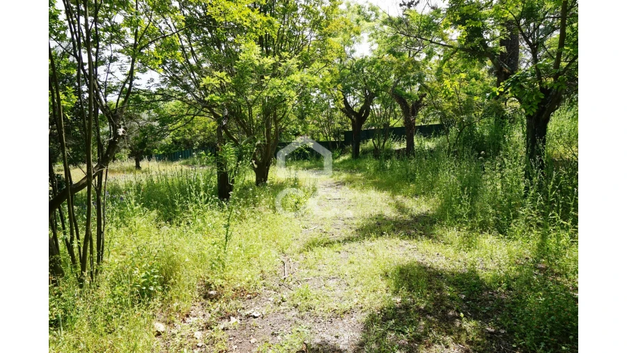 Quinta T20 para Venda em Tramagal Foto 30