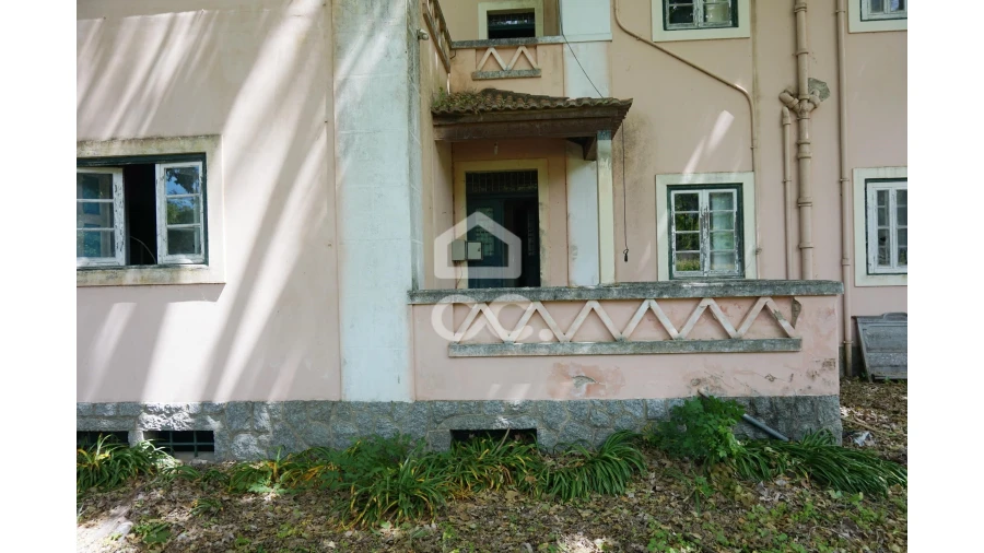 Quinta T20 para Venda em Tramagal Foto 5