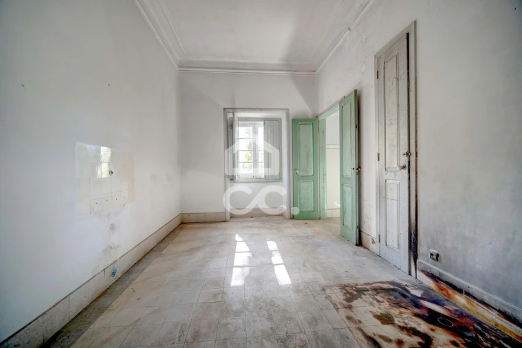 Quinta T20 para Venda em Tramagal Foto 16