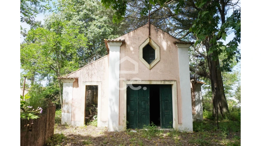 Quinta T20 para Venda em Tramagal Foto 23