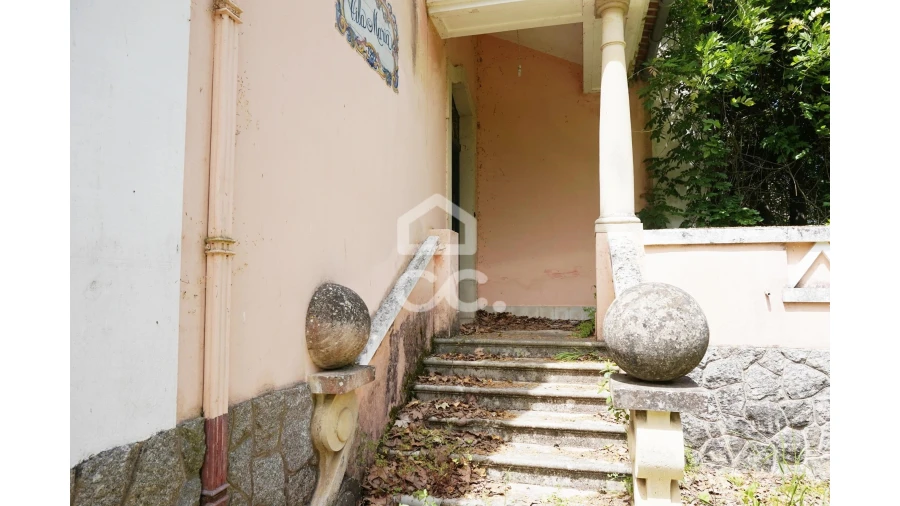 Quinta T20 para Venda em Tramagal Foto 7