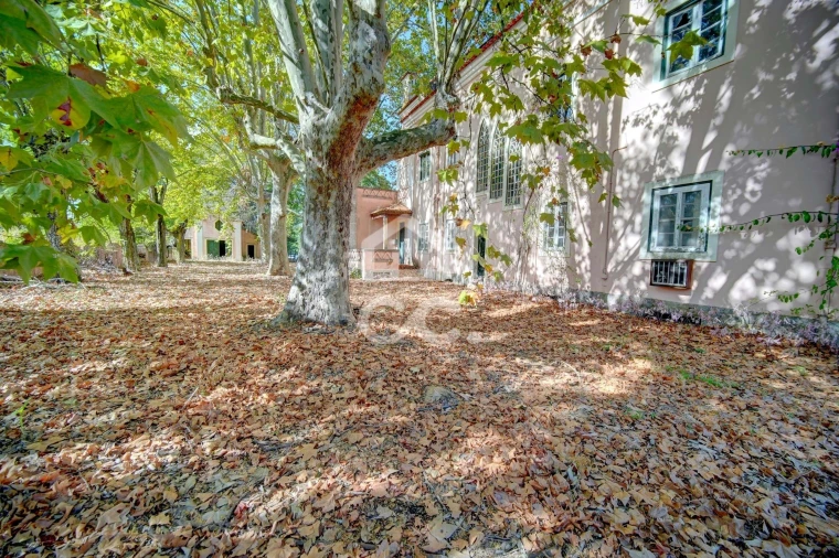 Quinta T20 para Venda em Tramagal Foto 34