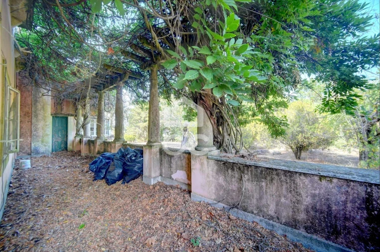 Quinta T20 para Venda em Tramagal Foto 33