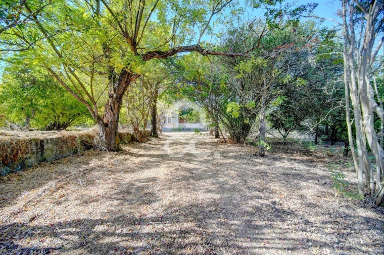 Quinta T20 para Venda em Tramagal Foto 38