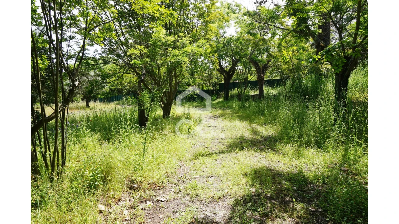 Quinta T20 para Venda em Tramagal Foto 30