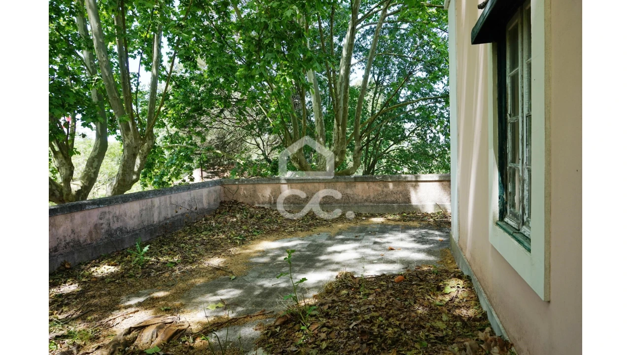 Quinta T20 para Venda em Tramagal Foto 19