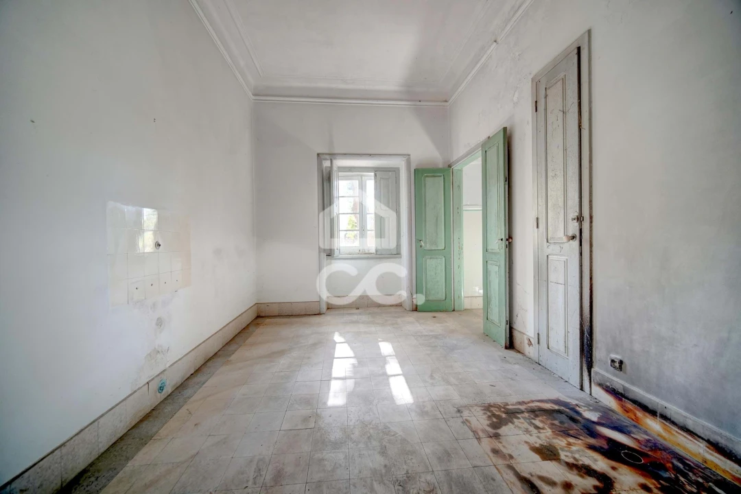 Quinta T20 para Venda em Tramagal Foto 16