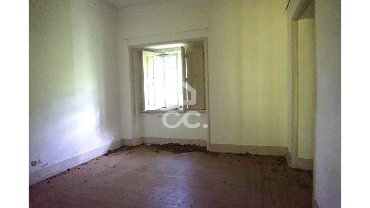 Quinta T20 para Venda em Tramagal Foto 18