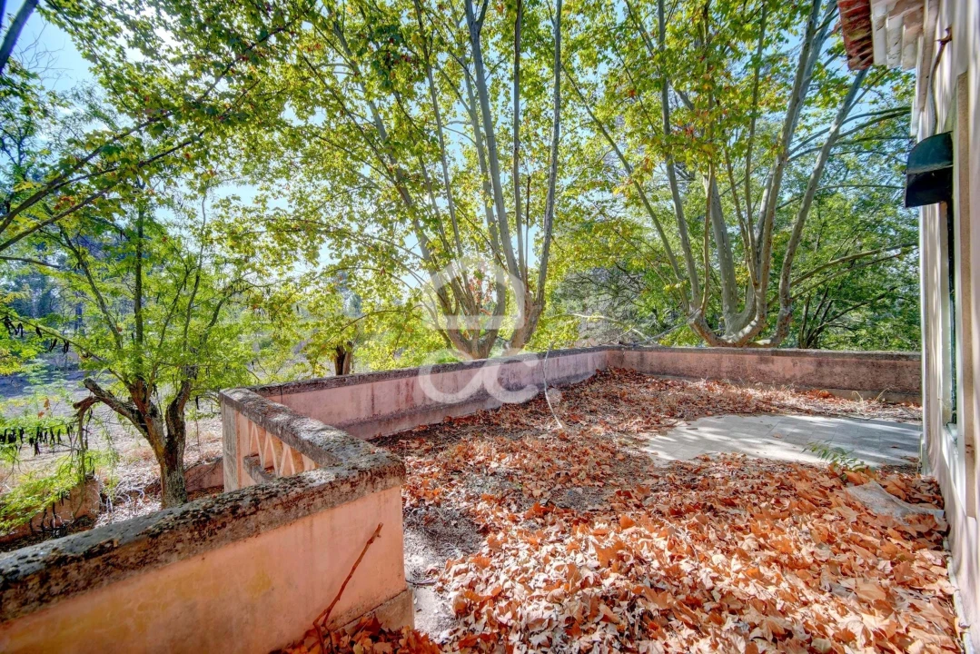 Quinta T20 para Venda em Tramagal Foto 31