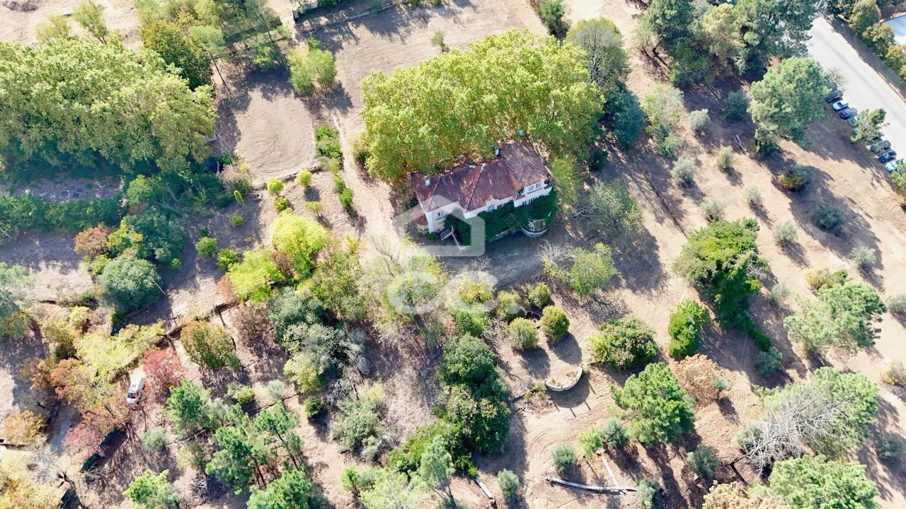 Quinta T20 para Venda em Tramagal Foto 36