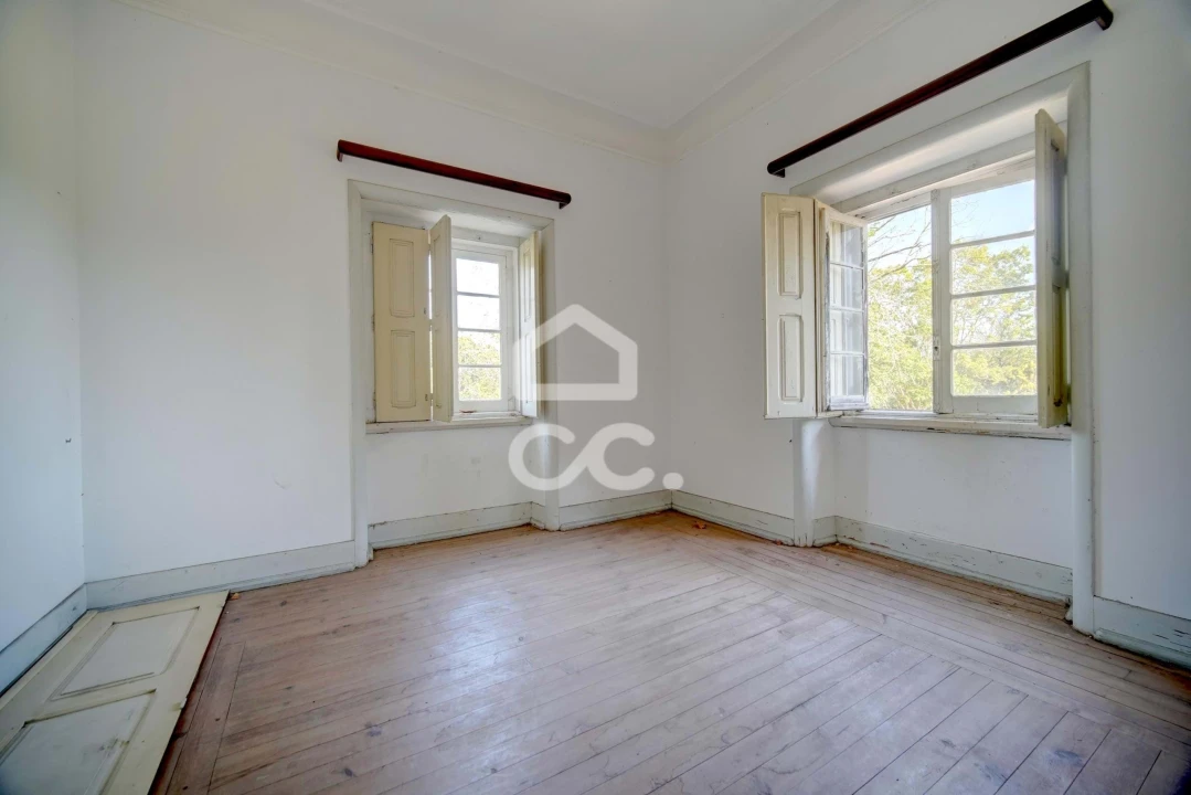 Quinta T20 para Venda em Tramagal Foto 24