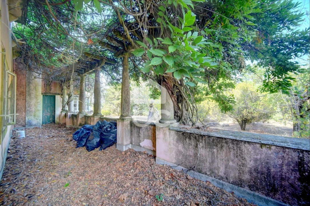 Quinta T20 para Venda em Tramagal Foto 33