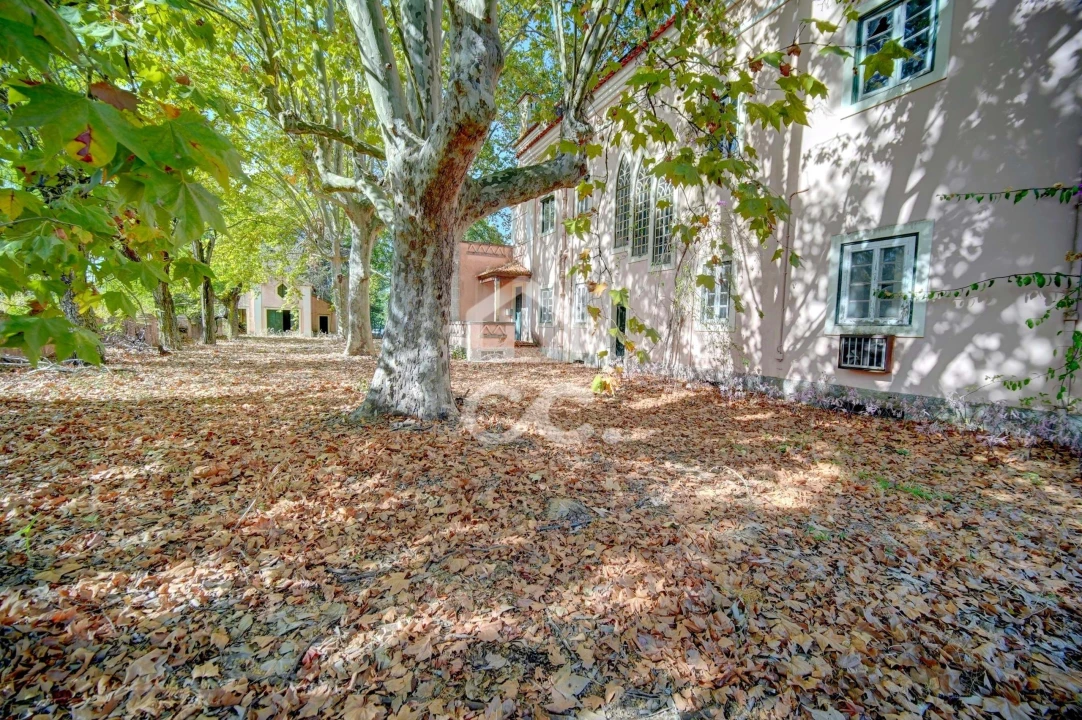 Quinta T20 para Venda em Tramagal Foto 8