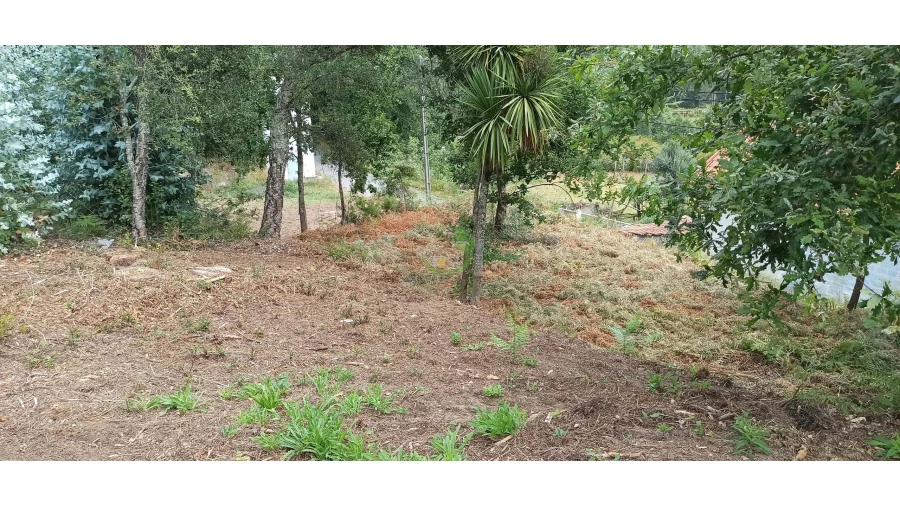 Moradia para Venda em Ribeira do Neiva Foto 8