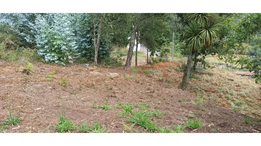 Moradia para Venda em Ribeira do Neiva Foto 7