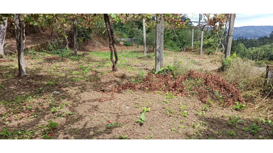 Moradia para Venda em Ribeira do Neiva Foto 5