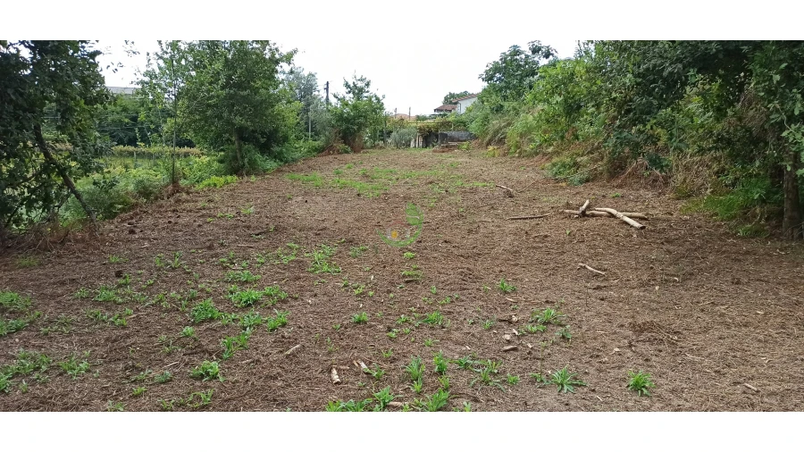 Moradia para Venda em Ribeira do Neiva Foto 9