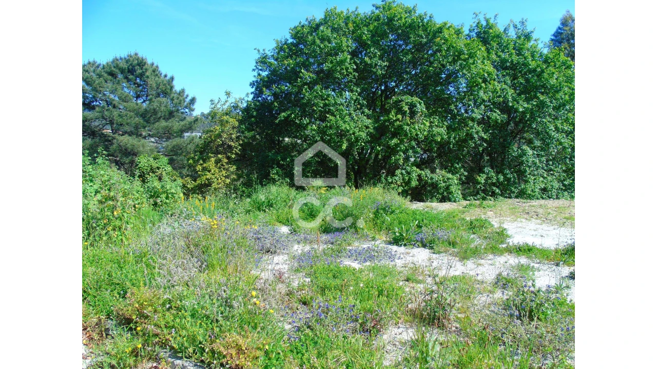 Terreno para Venda em Delães Foto 1