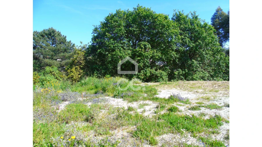 Terreno para Venda em Delães Foto 2