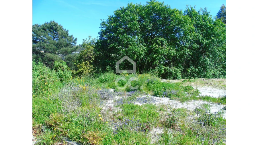 Terreno para Venda em Delães Foto 1