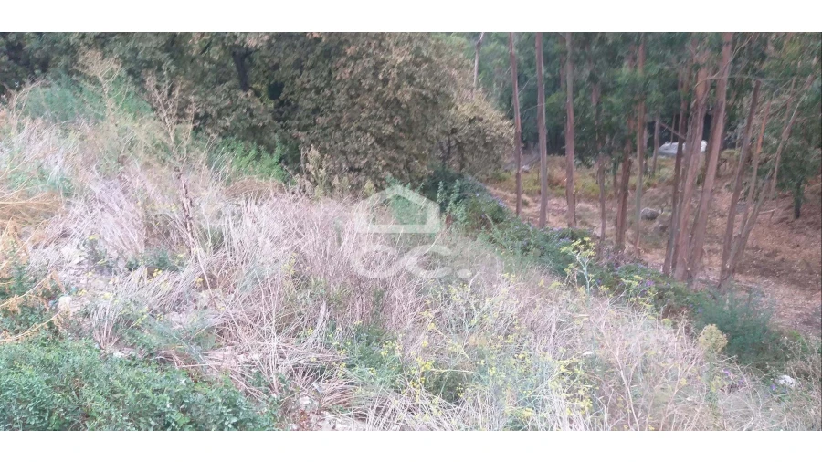 Terreno para Venda em Delães Foto 4