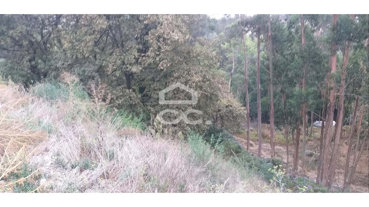 Terreno para Venda em Delães Foto 3