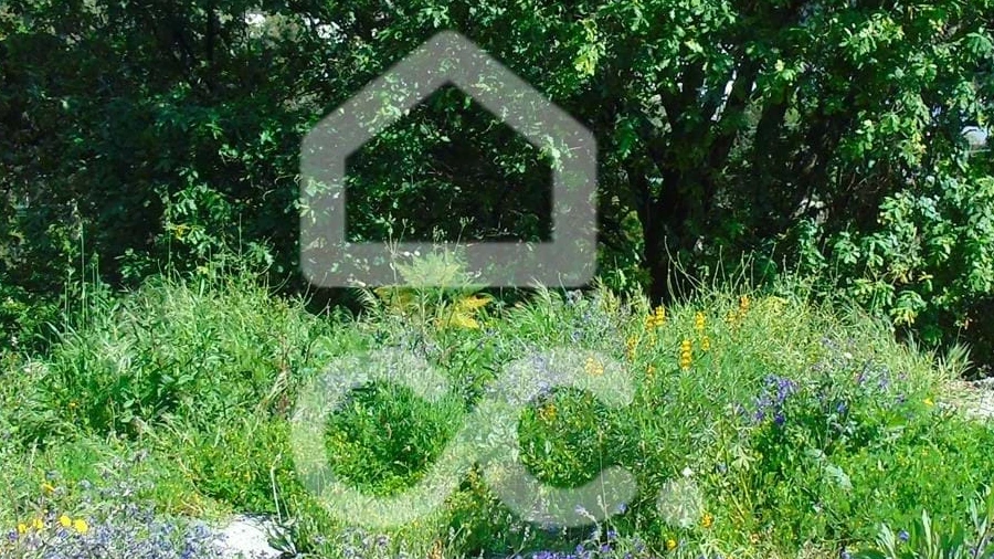 Terreno para Venda em Delães