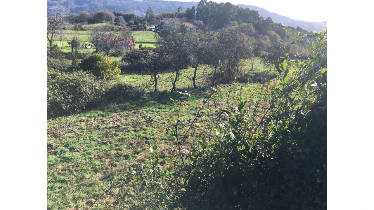 Moradia para Venda em Ribeira do Neiva Foto 7