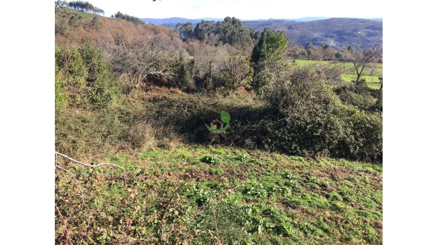 Moradia para Venda em Ribeira do Neiva Foto 6