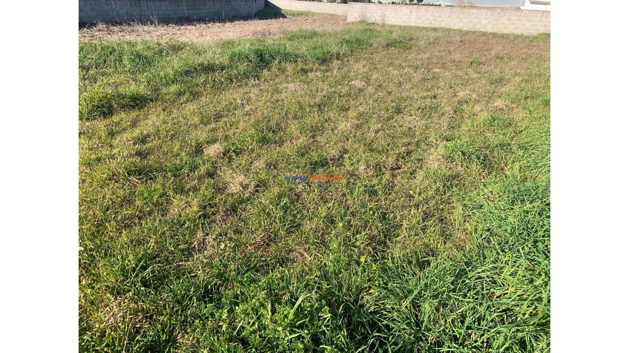 Terreno para Venda em Póvoa de Varzim, Beiriz e Argivai Foto 3