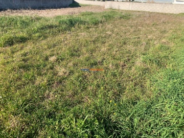 Terreno para Venda em Póvoa de Varzim, Beiriz e Argivai