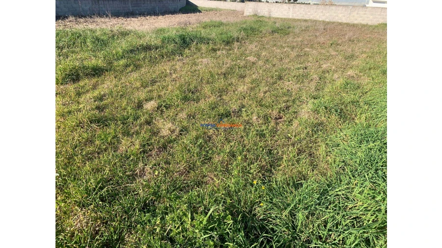 Terreno para Venda em Póvoa de Varzim, Beiriz e Argivai Foto 3