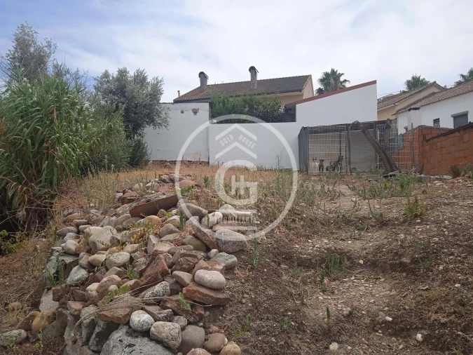 Moradia T3 para Venda em Chamusca e Pinheiro Grande Foto 19