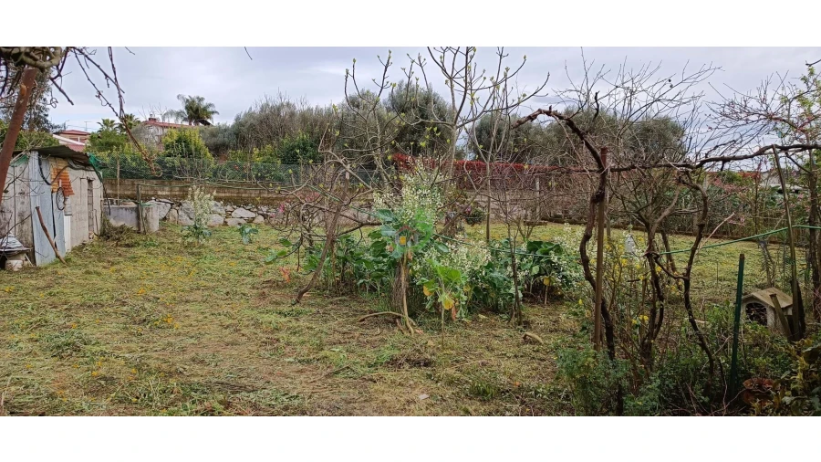 Moradia T3 para Venda em Turiz Foto 18