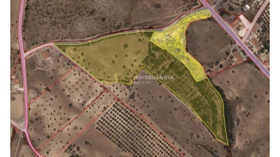 Moradia T4 para Venda em Romeira e Várzea Foto 42