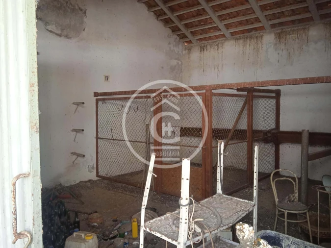 Moradia T2 para Venda em Golegã Foto 29