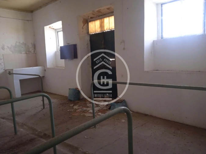 Moradia T2 para Venda em Golegã Foto 15