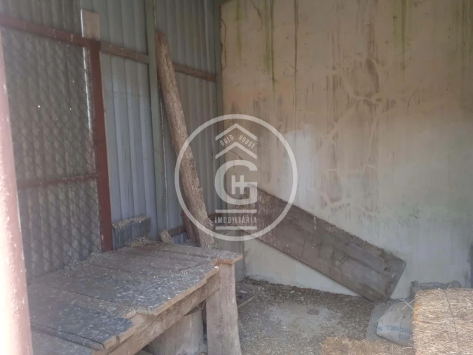 Moradia T2 para Venda em Golegã Foto 31