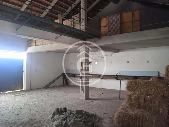 Moradia T2 para Venda em Golegã Foto 21