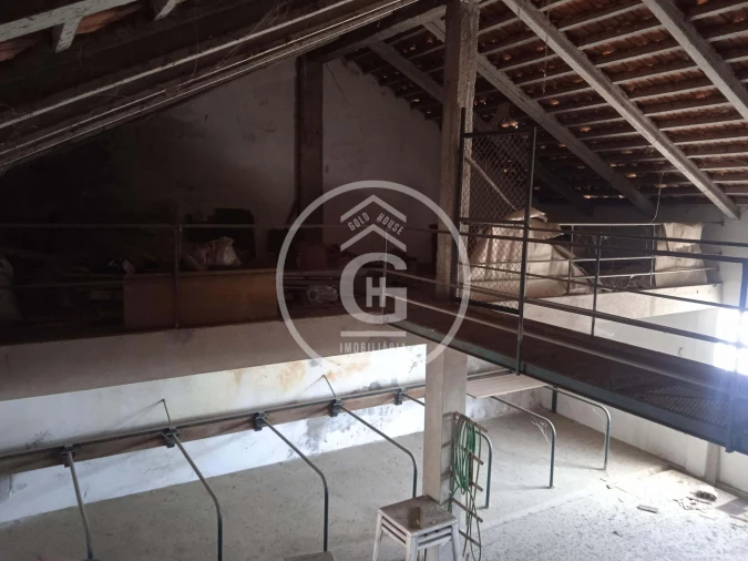 Moradia T2 para Venda em Golegã Foto 24