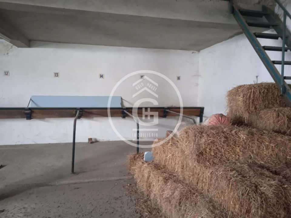 Moradia T2 para Venda em Golegã Foto 22