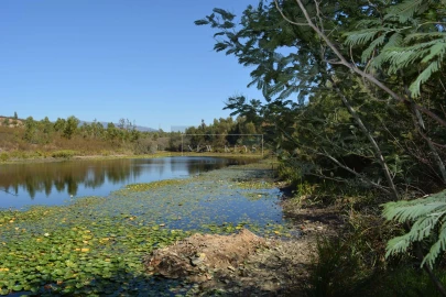 Terreno para Venda em Mexilhoeira Grande