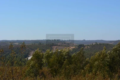 Terreno para Venda em Mexilhoeira Grande